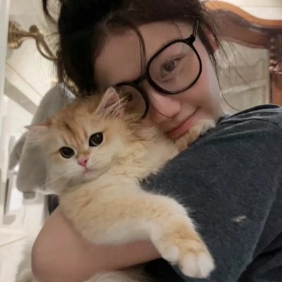 豆豆猫