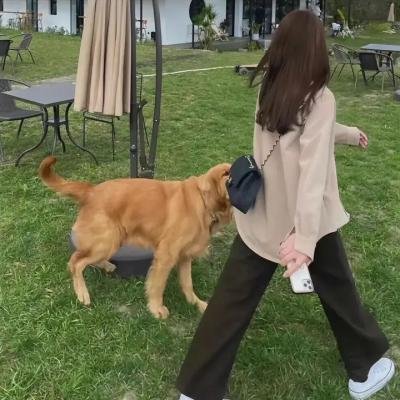 守护解放西第三季
